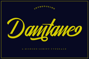 Damtane: A Modern Script Font for Web Design