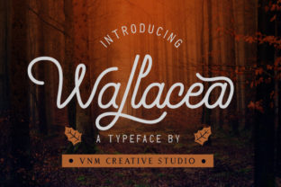 Wallacea: A Romantic Handwritten Font for Editorial Design